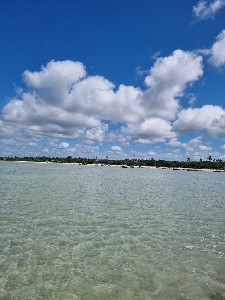 Casa em São Miguel dos Milagres com Piscina